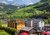 AlpenParks Hotel Montana Matrei