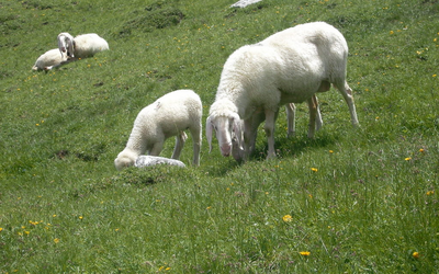 Urlaub mit der ganzen Familie