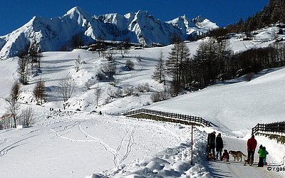 praegraten-winter-bichl-skigebiet-winterwandern (3).JPG