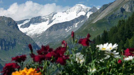 Erlebe den fesselnden Muhs-Panoramaweg in Osttirol