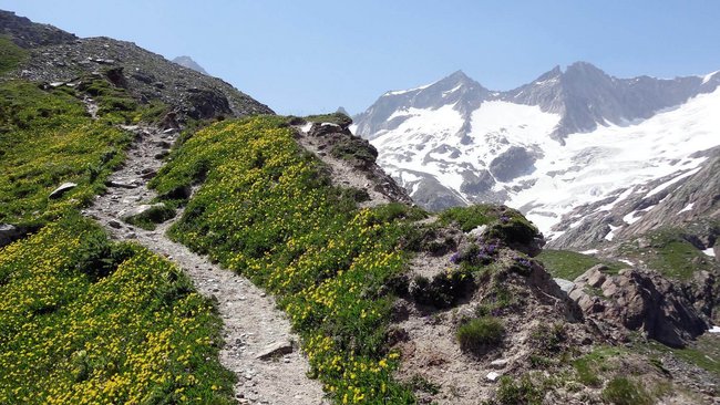 Venediger Höhenweg - mehrtägige Höhenwanderung | Virgental.at