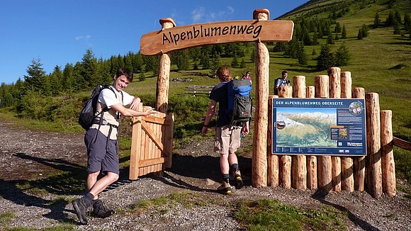 Der Alpenblumen- und Panoramaweg Oberseite in St. Jakob | © NPHT