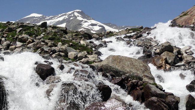 Am Weg zur Essener-Rostocker Hütte - Simonyspitze