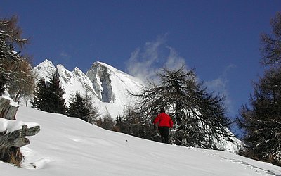 Winterwandern-Foto©Gemeinde_Virgen.jpg