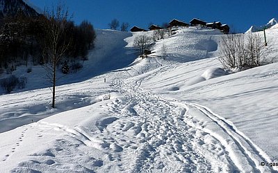 praegraten-winter-bichl-skigebiet-winterwandern (4).JPG