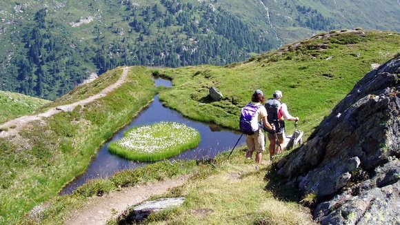 Das „Auge Gottes“ in Osttirol ist ein malerischer Moortümpel mit einer kleinen Wollgrasinsel inmitten der Venedigergruppe, der seinen Namen seiner einzigartigen Form verdankt.