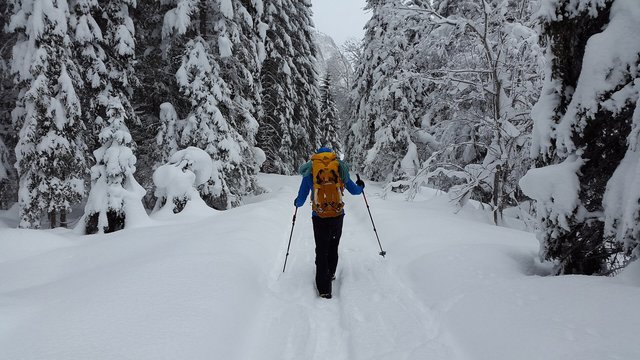 Zahlreiche geräumte Winterwanderwege Mitten im Nationalpark Osttirol