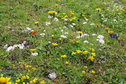 Natur hautnah – Wanderer auf dem Sajatweg.