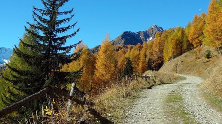 Am Katinweg hinauf bis zur Stabanthütte 1.770m | Mountinbike Radtour