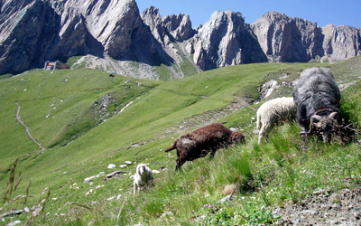 Urlaub mit der ganzen Familie