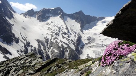 Das Reggetörl in Osttirol bietet atemberaubende Alpenaussichten und eine unvergleichliche Wandererfahrung.