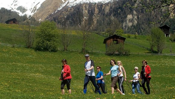 Ausblicke & Nordic-Walking-Treffs im | Bild: Profer & Partner