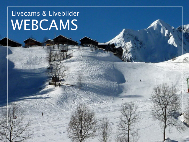 Webcams & Livebilder - Immer Live dabei | Virgental.at