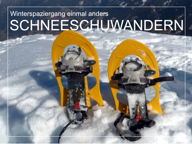 Schneeschuhwandern im Virgental | Virgental.at