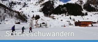 Schneeschuhwandern - Winterspaziergang einmal anders  | Virgental.at