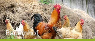 Bauernhofurlaub in Osttirol - Urlaub Bauernhof, Tirol | Virgental.at