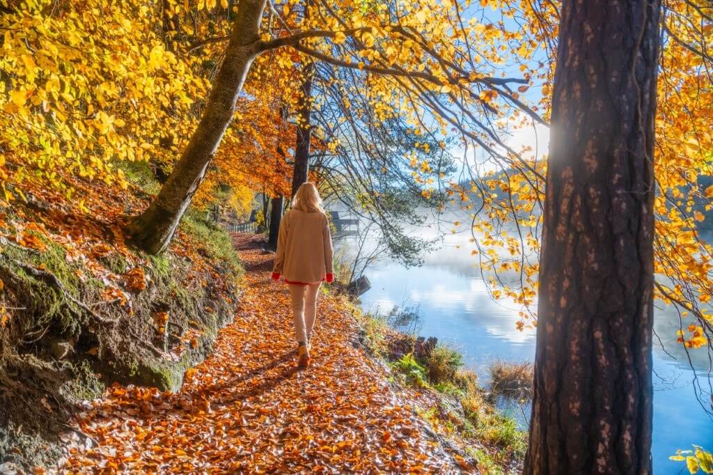 Malerische Herbststimmung am Tristacher See in Osttirol mit Spiegelung der Lienzer Dolomiten im Wasser