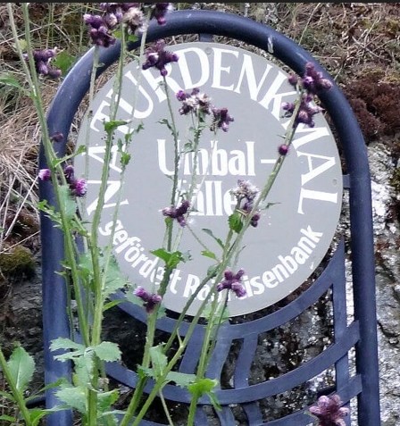 Offizielles Symbolbild der Umbalfälle Prägraten für Touristen-Informationen