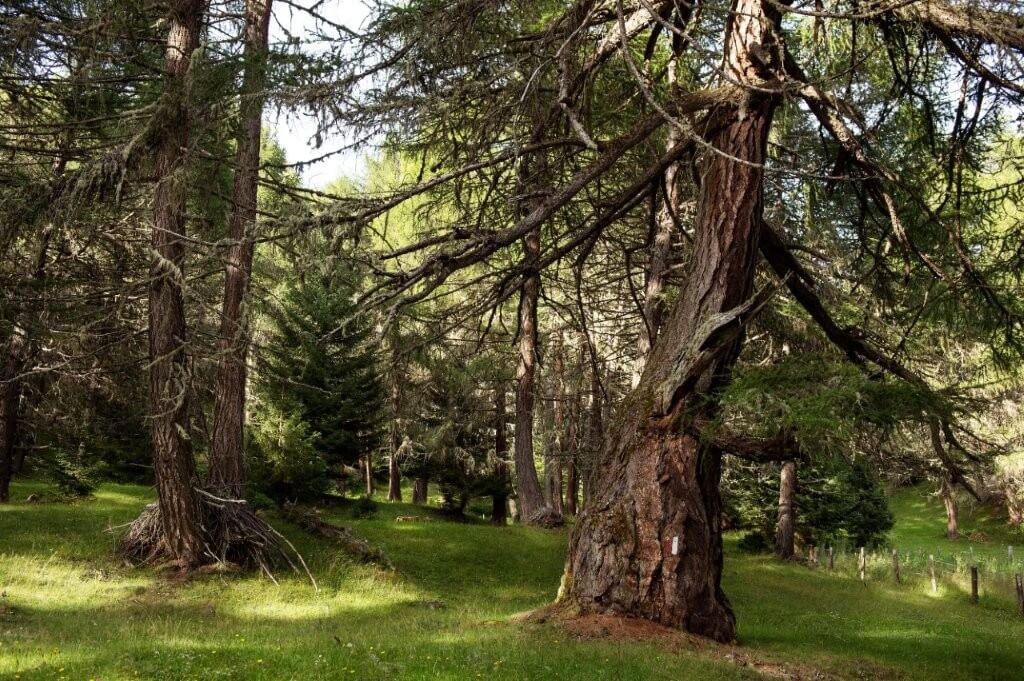 Panoramablick Virgental