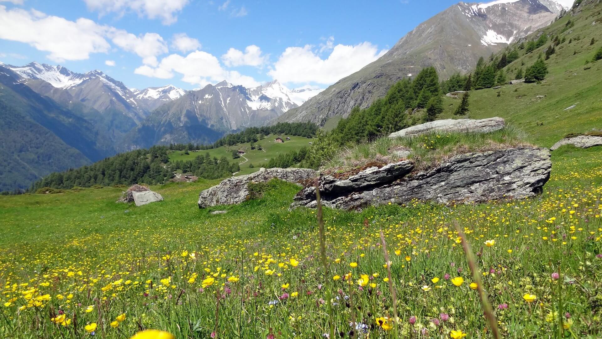 Virgentaler Sonnseitenweg in Osttirol