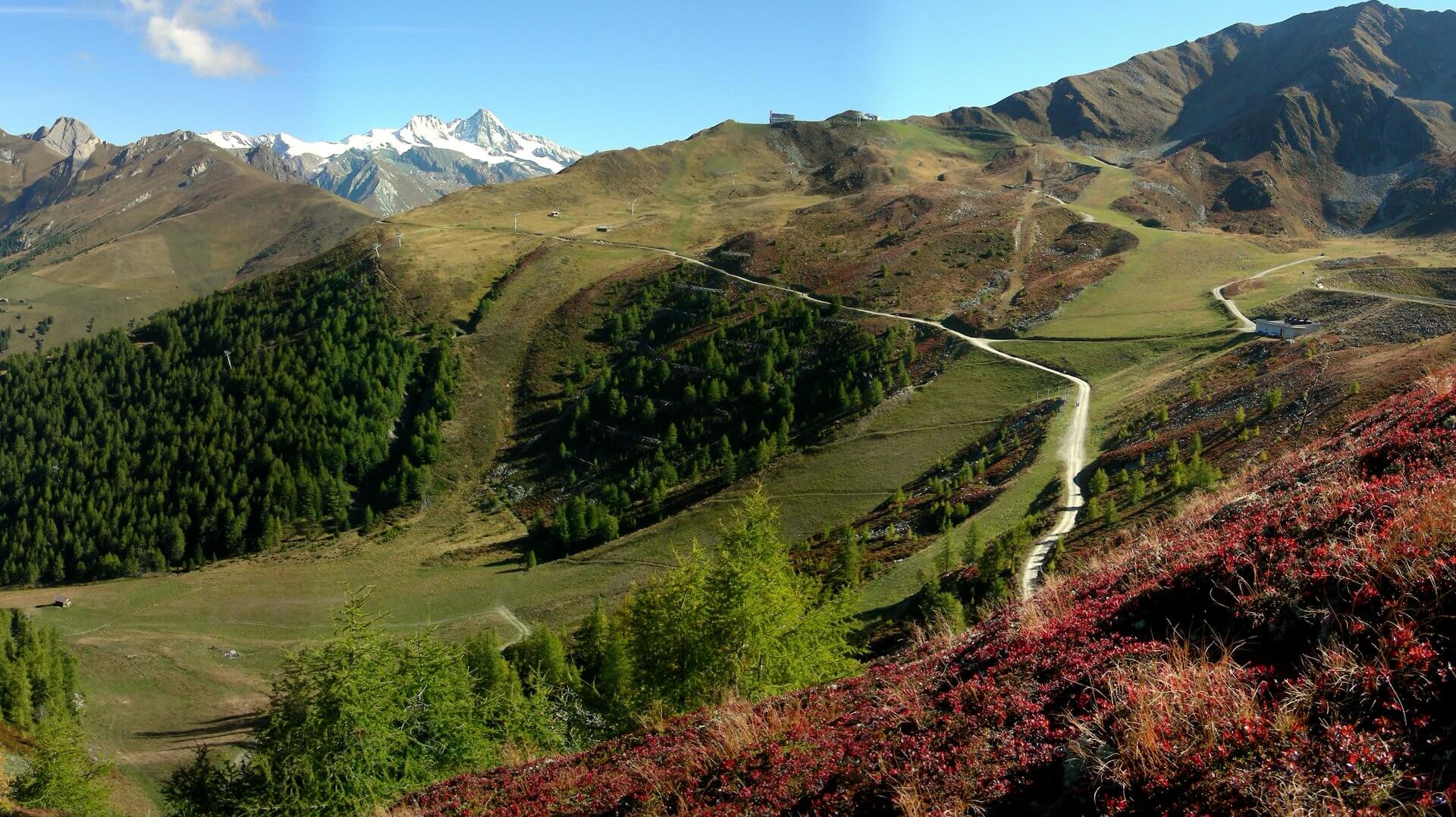 Panoramaweg oberhalb von Matrei