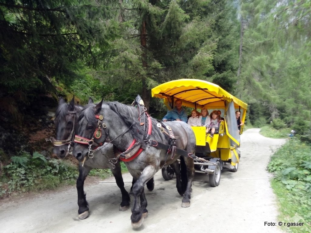 Pferdekutschenfahrt im Virgental bei Prägraten und Matrei in Osttirol