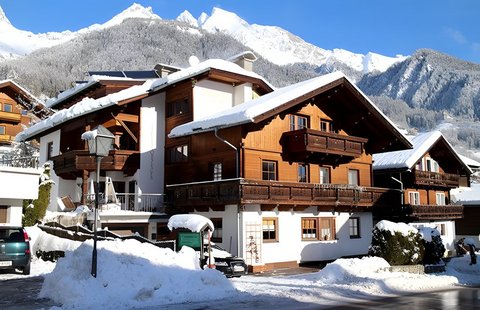 Ferienhaus Blusnerhof ****