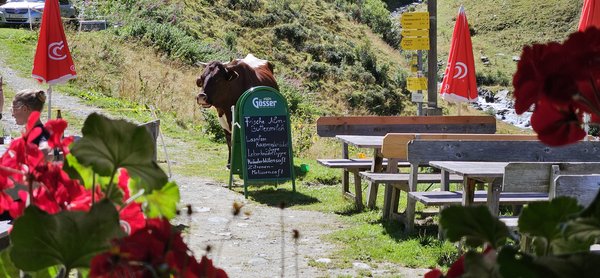 Lasnitzenhütte 1900m