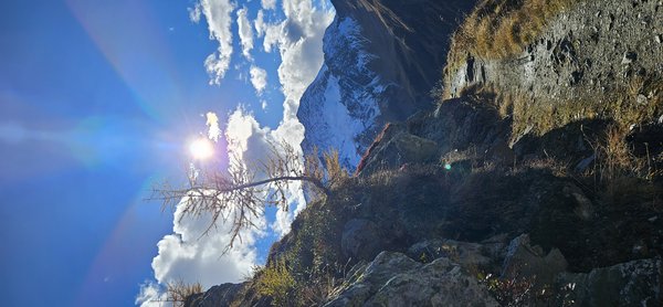 Lasnitzenhütte 1900m