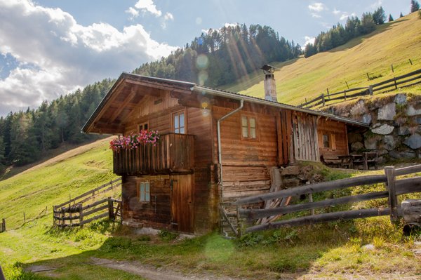 Grosslercher Almhütte Goisnalm 1.650m