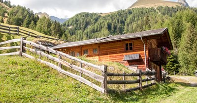 Grosslercher Almhütte Goisnalm 1.650m