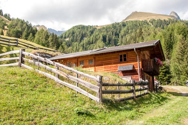 Grosslercher Almhütte Goisnalm 1.650m