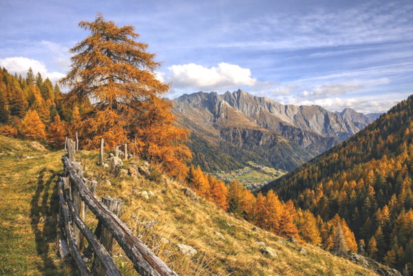 Santner alpine tauern living