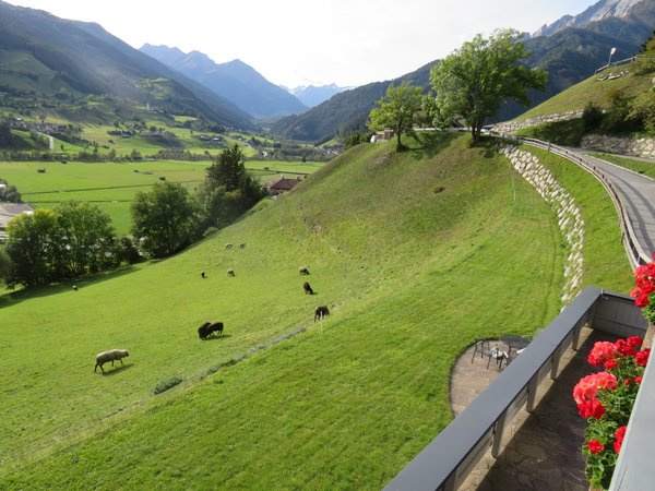 Bauernhaus Ferienhaus Alt trifft Neu