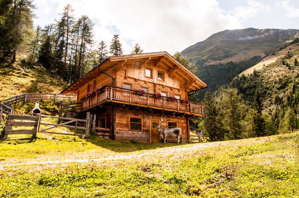 Almhütte Marcher Alm auf 1.700m