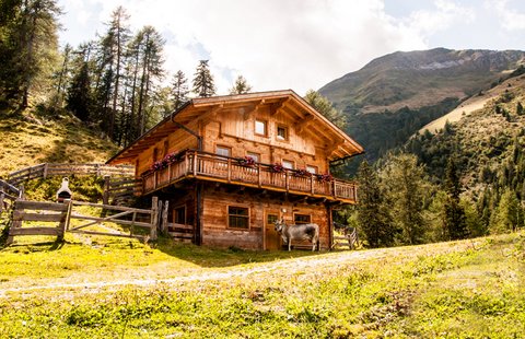 Almhütte Marcher Alm auf 1.700m