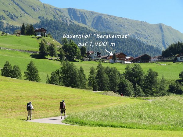 Bergheimat - Bergbauernhof
