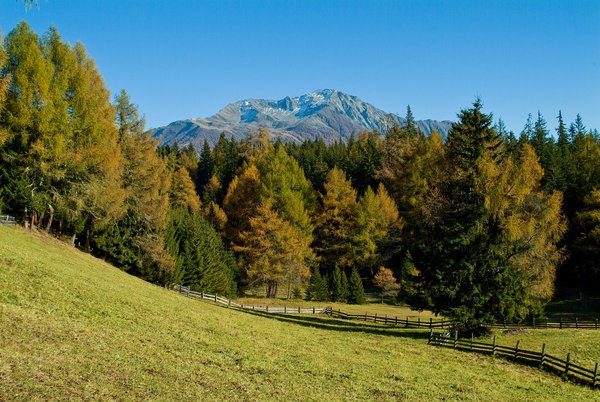 Jausenstation Wodenalm 1.825m