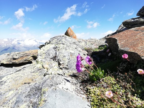 Lasnitzenhütte 1900m