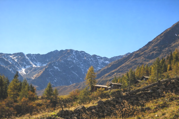 Santner alpine tauern living