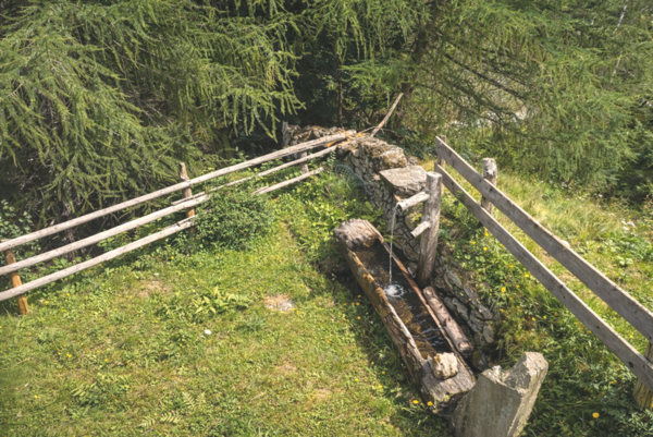 Almhütte Santnerhof 1.700m - ab 5 Nächte buchbar!