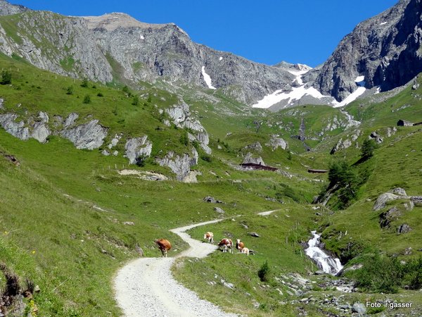 Schmiedler Alm 2.085m