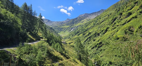 Lasnitzenhütte 1900m