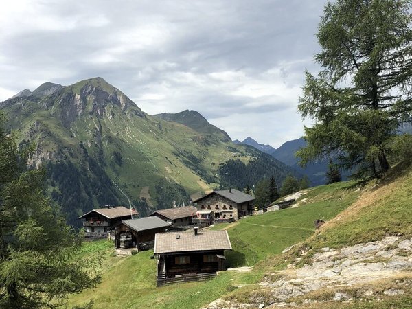 Innere Steiner Alm 1.770m