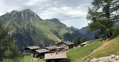 Innere Steiner Alm 1.770m