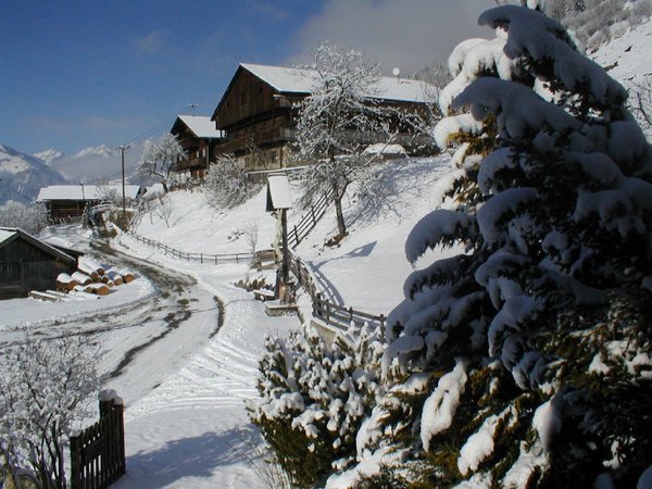 Mortnerhof 1.250m