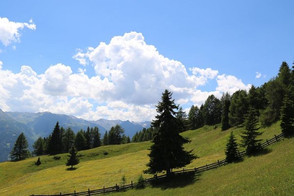 Schmiedbauer Ferienhaus & Almhütte