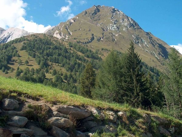 Jausenstation Wodenalm 1.825m