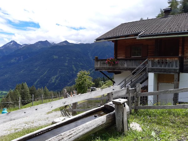 Almhütte Goisnalm 1.620m