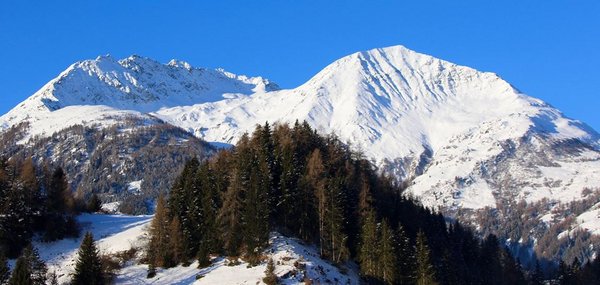 Schmiedbauer Ferienhaus & Almhütte